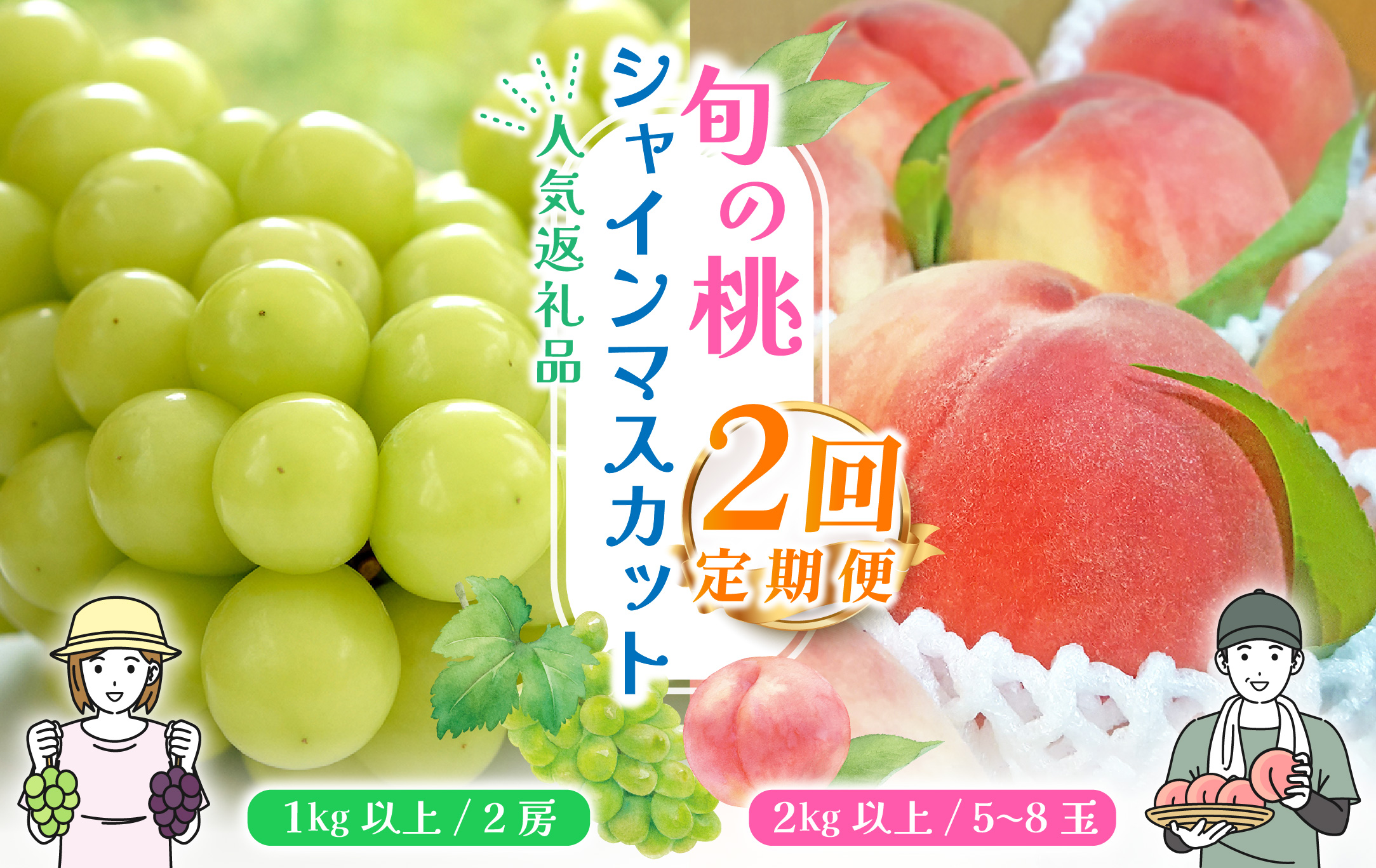 [山梨県産 旬の果物 2回送り]旬の桃 シャインマスカット 定期便 180-006|もも 桃 シャインマスカット 定期便もも 桃 シャインマスカット 定期便もも 桃 シャインマスカット 定期便もも 桃 シャインマスカット 定期便もも 桃 シャインマスカット 定期便もも 桃 シャインマスカット 定期便もも 桃 シャインマスカット 定期便もも 桃 シャインマスカット 定期便もも 桃 シャインマスカット 定期便