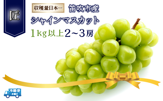 [25年発送先行予約]笛吹市産シャインマスカット(匠)2〜3房 1kg以上 210-002 | シャインマスカット 甘い シャインマスカット 葡萄 シャインマスカット フルーツシャインマスカット 甘い シャインマスカット 葡萄 シャインマスカット フルーツシャインマスカット 甘い シャインマスカット 葡萄 シャインマスカット フルーツシャインマスカット 甘い シャインマスカット 葡萄 シャインマスカット フルーツ