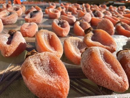 【数量限定】甲州市産高級枯露柿「茜」-AKANE‐ Mサイズ480g以上6～7個入り（RO）B12-130