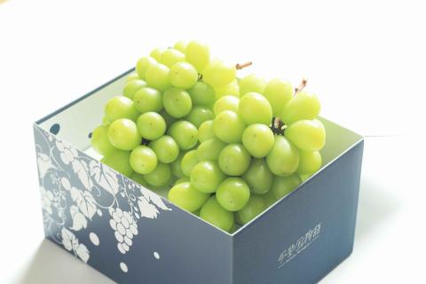 甲州市産シャインマスカット2房 約1kg 瑞々しい美味しさのまま発送します【2026年発送】（VYD）B13-885