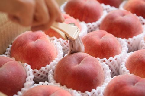 D-109．甲州市産旬のフルーツ定期便３回計3.3kg (RO)