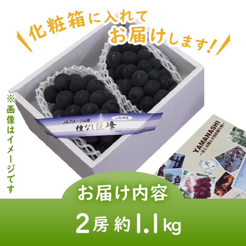 JAフルーツ山梨 甲州市産種なし巨峰2房【80】【2026年発送】B-104