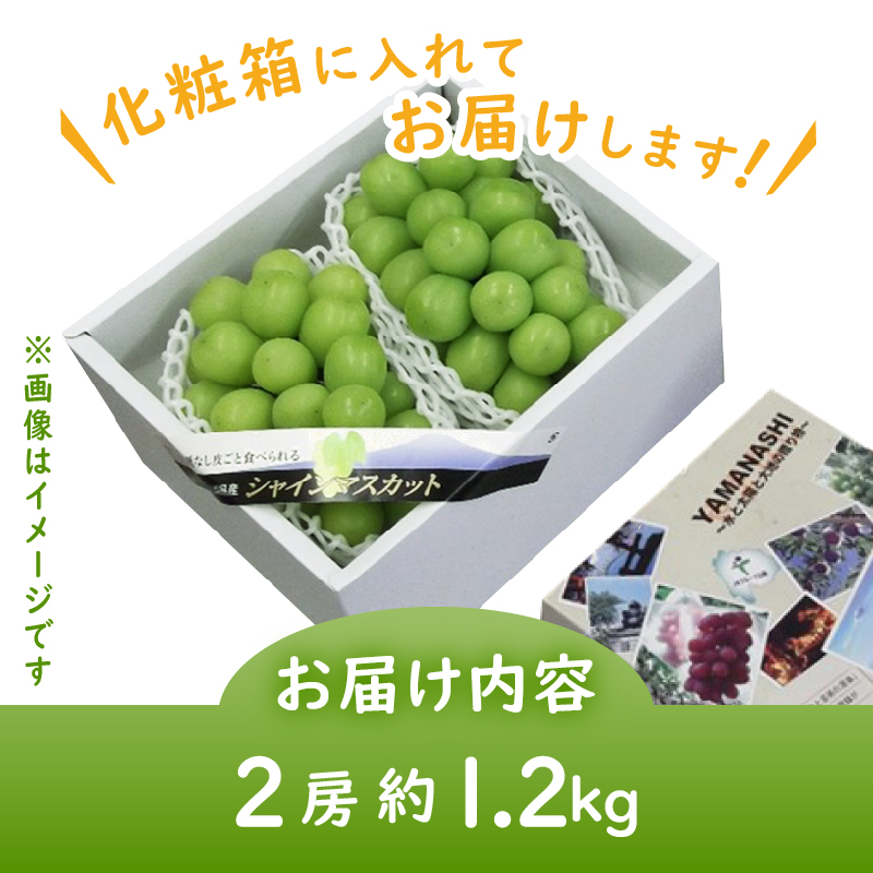 JAフルーツ山梨シャインマスカット2房【80】【2026年発送】B15-102