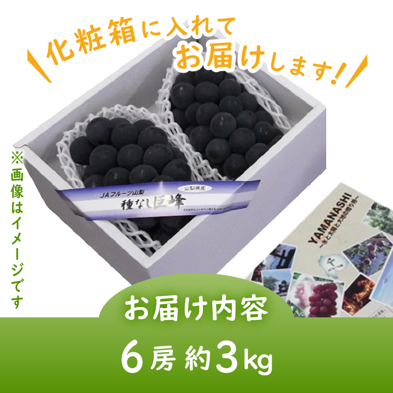 JAフルーツ山梨 甲州市産種なし巨峰6房【100】【2026年発送】C-107