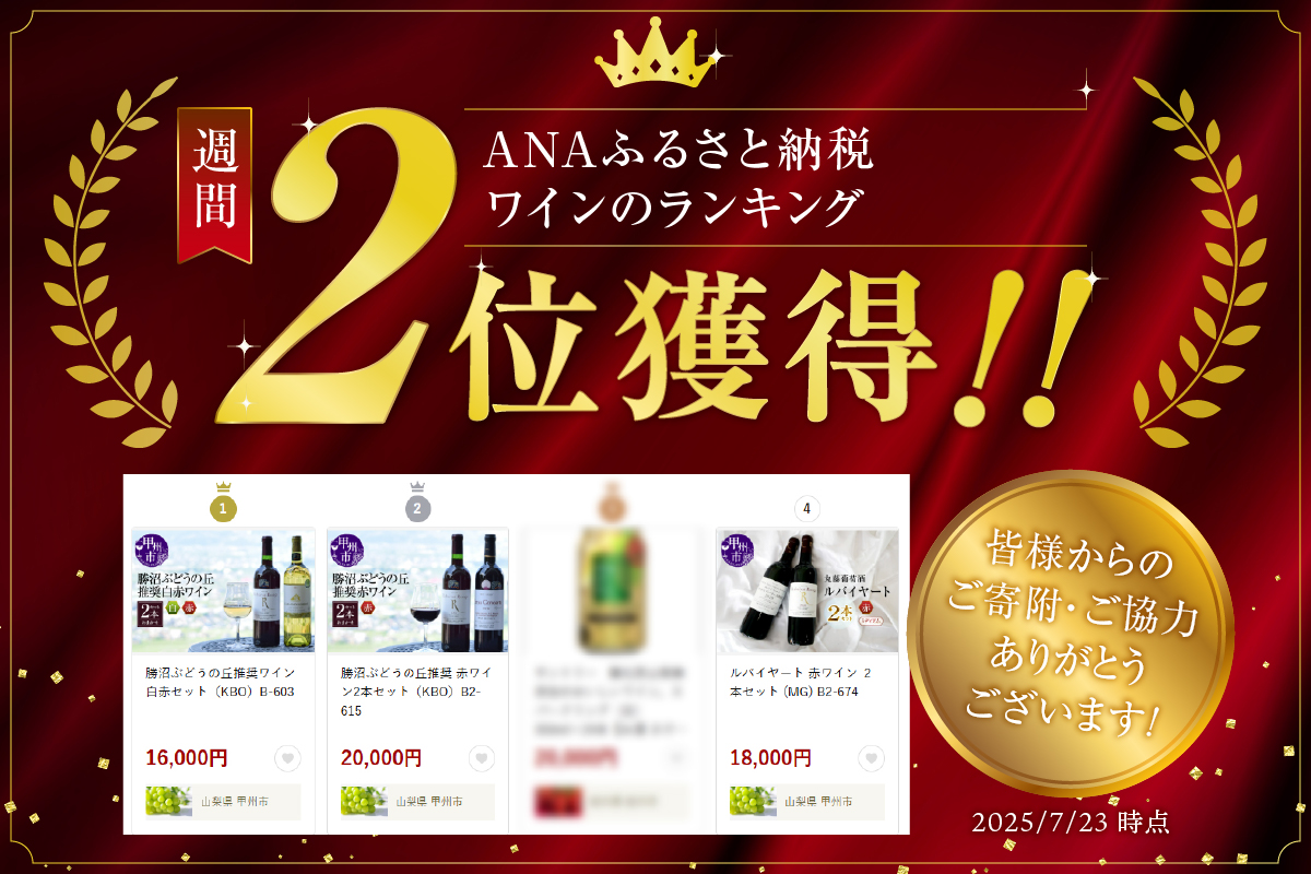 勝沼ぶどうの丘推奨 赤ワイン2本セット（KBO）B2-615