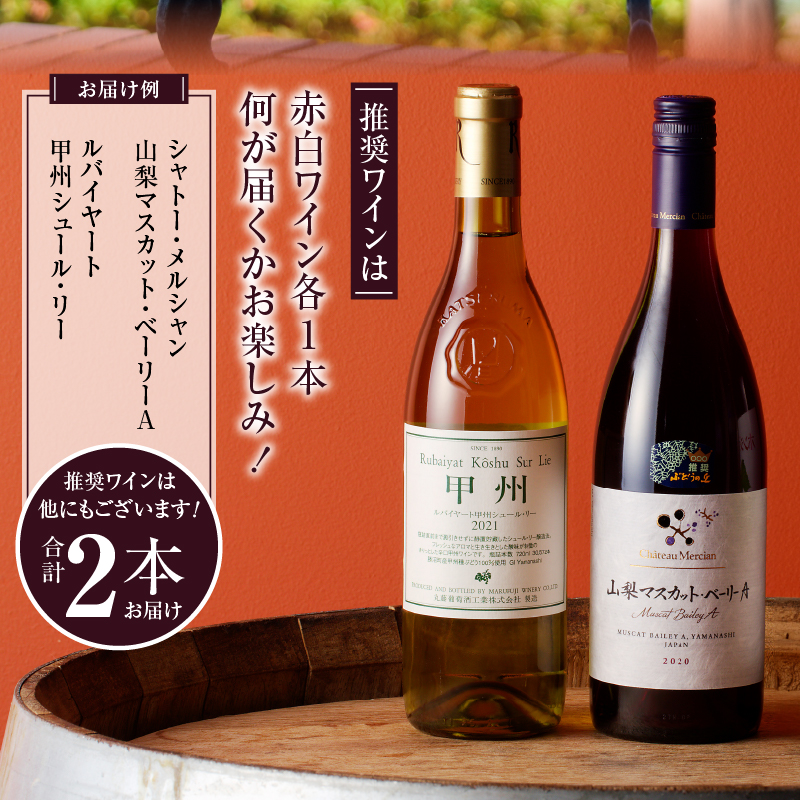 ぶどうの恵みセット　赤白ワイン（各１本）とぶどうジュース１本セット（KBO）C-653