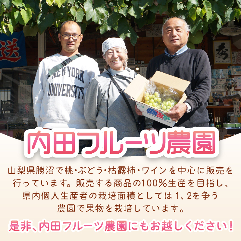 内田フルーツ農園の桃 4～7玉（約2kg）【2025年発送】（UF）B-161