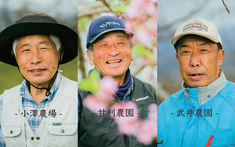 【定期便】甲州市自慢の“大玉桃6個”と“大粒シャインマスカット2房” のセット 自然農法【2025年発送】（BNC）E9-101