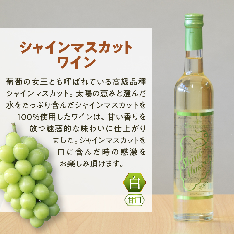 Premiumワインギフト（白）500ml×2本『シャインマスカットワイン＋デラウェアワイン』～2022～（HO）B16-775
