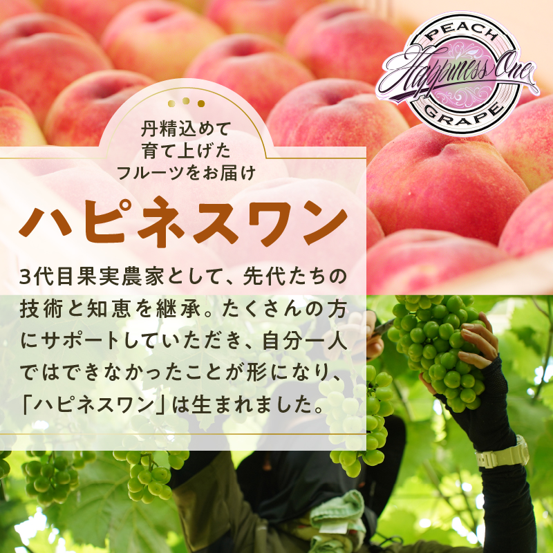 【クール配送】お試しセット！旬の採れたてシャインマスカット＆藤稔 1.0kg以上（各1房）【2025年発送】（HO）B-427