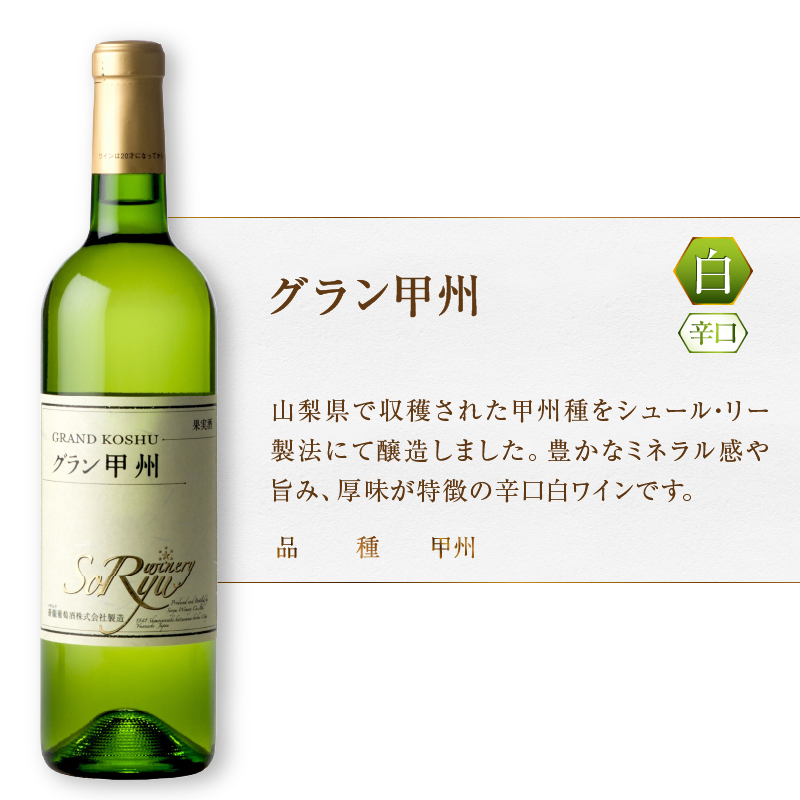 蒼龍葡萄酒のスタンダードワイン赤白ロゼ5本セット（MG）C7-651