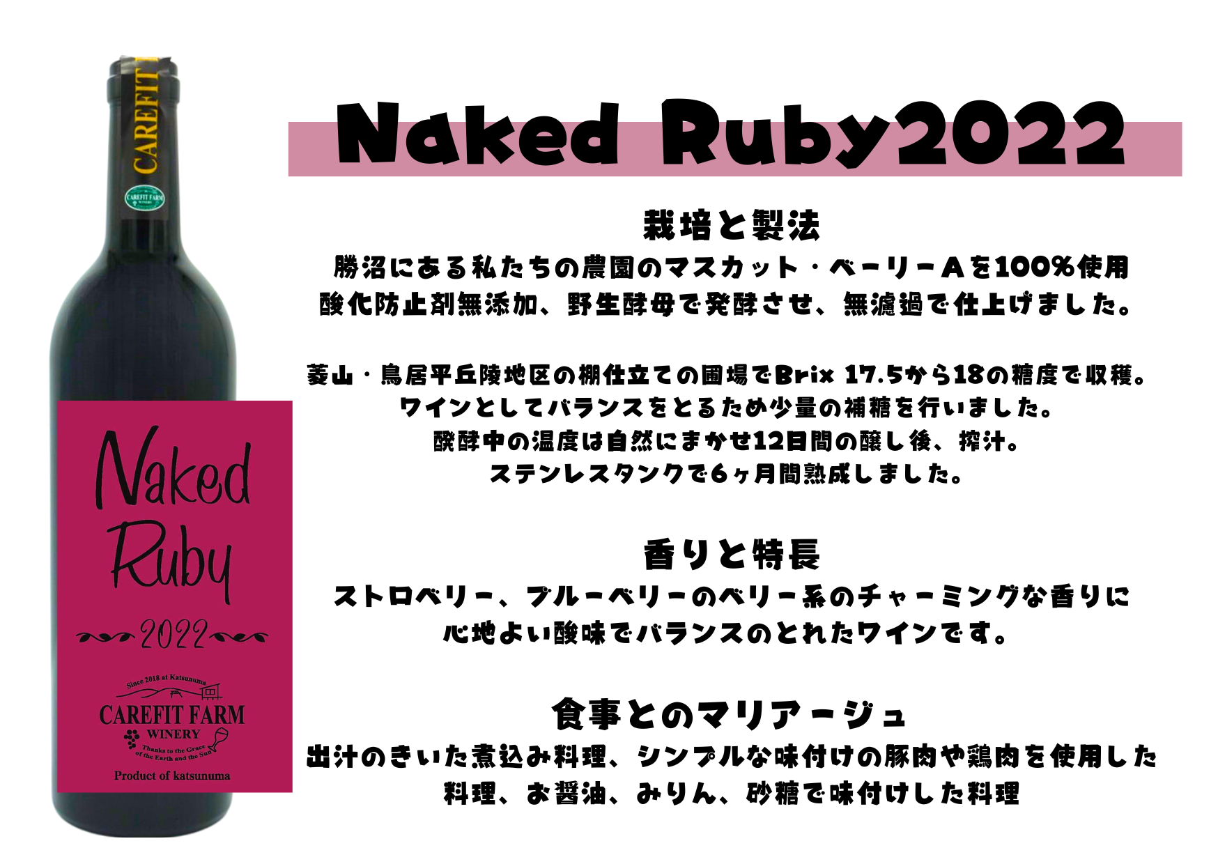 『農福連携』ケアフィットファームが贈るオレンジワインと赤ワイン2本セット（MG）C-687