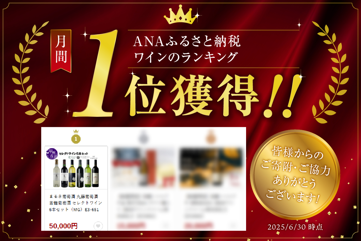 まるき葡萄酒 丸藤葡萄酒 蒼龍葡萄酒 セレクトワイン6本セット（MG）E3-651