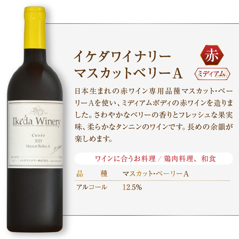 イケダワイナリー マスカットベリーA（MG）A06-482