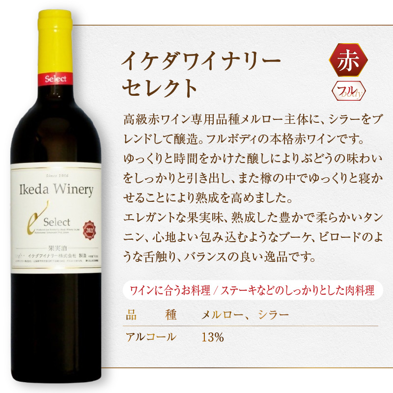 イケダワイナリー セレクト赤（MG）A09-480