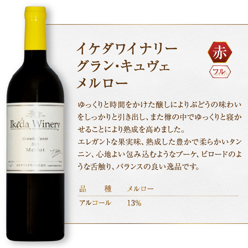 イケダワイナリー グラン・キュヴェ メルロー（MG）B12-806