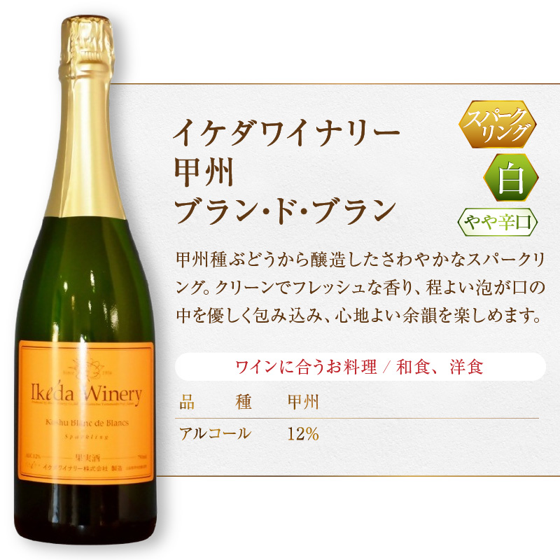 イケダワイナリー 甲州 ブラン・ド・ブラン（MG）A09-481