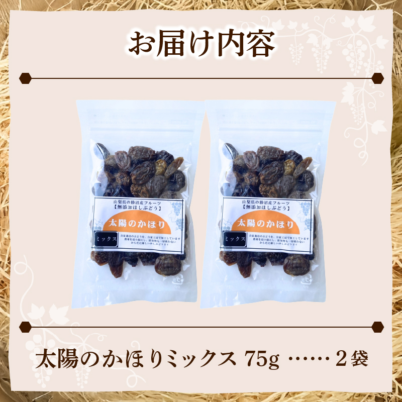 ぶどうの産地勝沼で大人気！みはらしの千果園の干しぶどう2袋（MG）A04-360