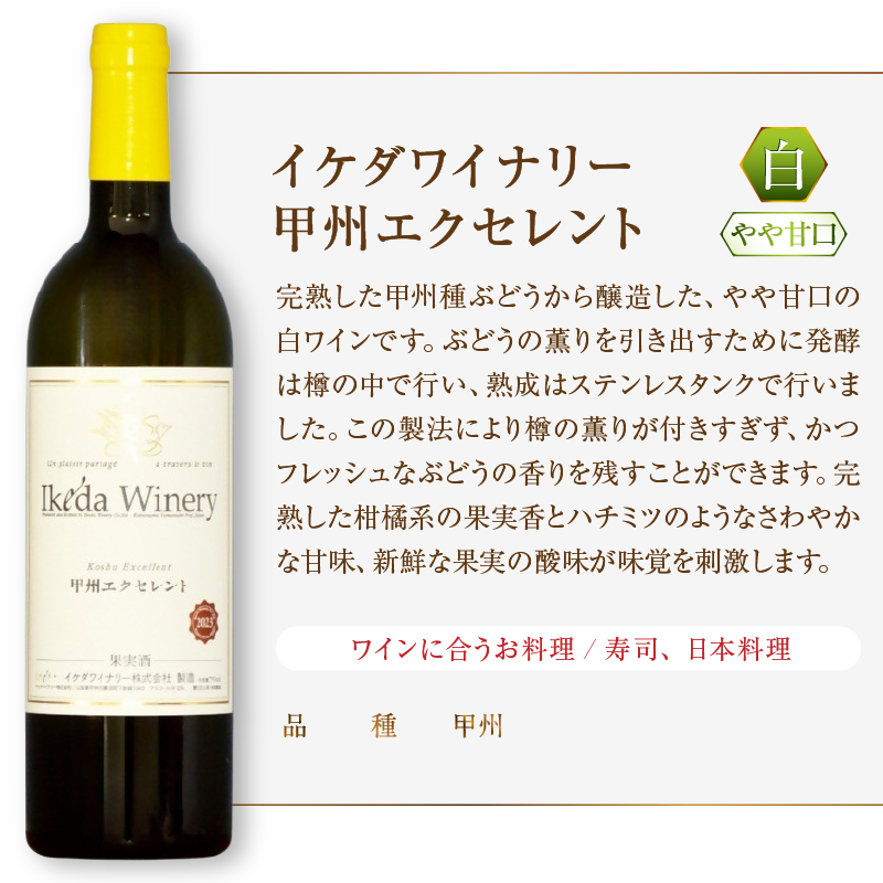 イケダワイナリー 2本セット【甲州エクセレント / セレクト白】（MG）B15-746