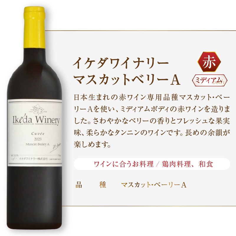 イケダワイナリー 2本セット【マスカットベリーA / セレクト赤】（MG）B15-748