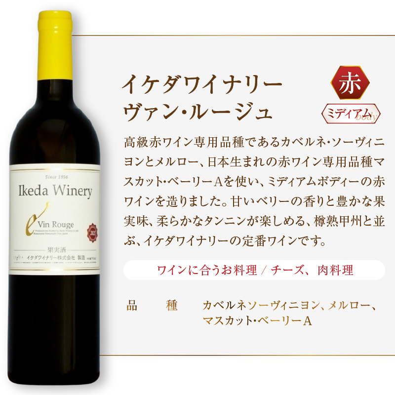 イケダワイナリー 2本セット【ヴァン・ルージュ / 樽熟甲州】（MG）B12-670