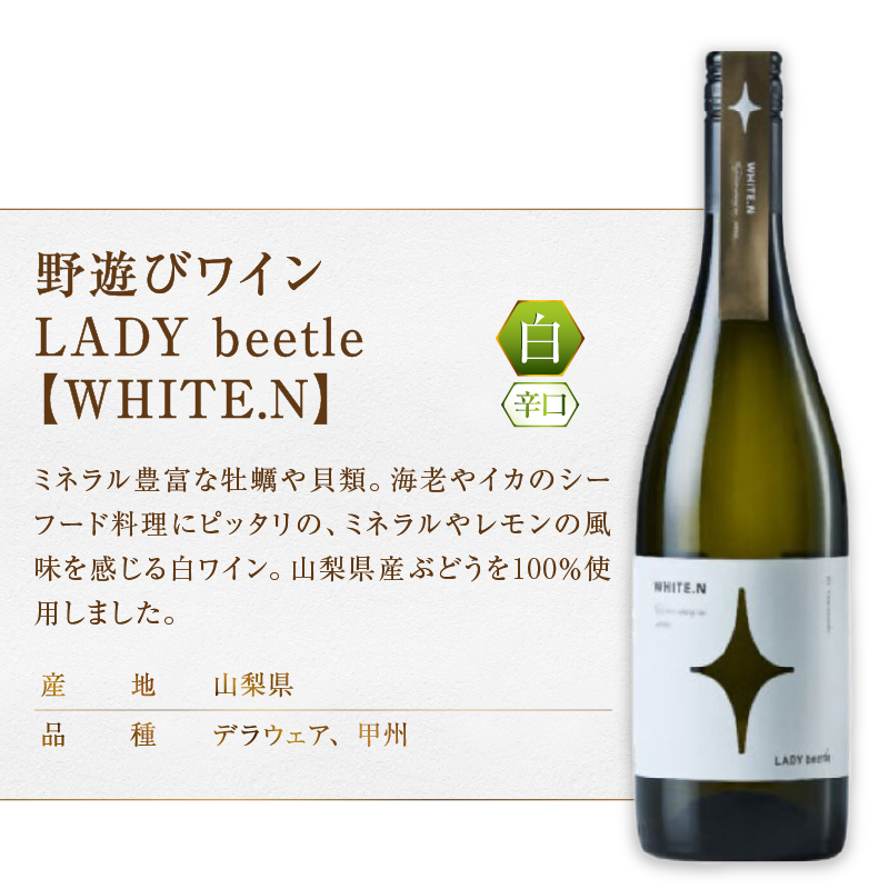フジクレール 野遊びワイン LADY beetle【WHITE.N】【ROSE SP Sparkling】2本セット（MG）C4-653