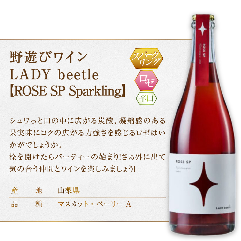 フジクレール 野遊びワイン LADY beetle【ROSE SP Sparkling】【GREEN.N Sparkling】2本セット（MG）C5-680