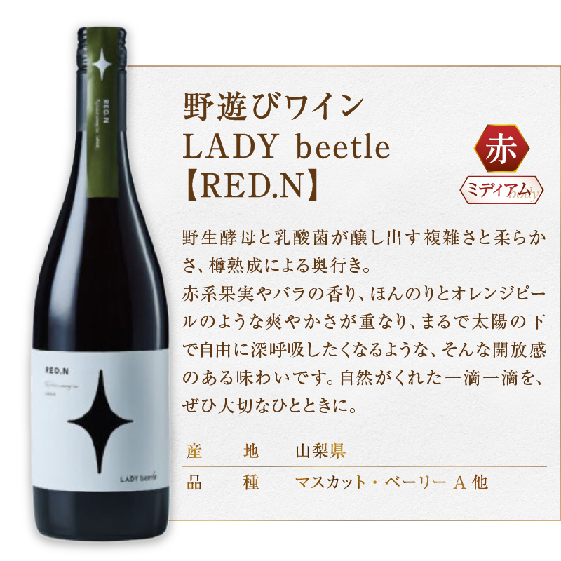 フジクレール 野遊びワイン LADY beetle【RED.N】【WHITE.N】【GREEN.N Sparkling】3本セット（MG）D5-633