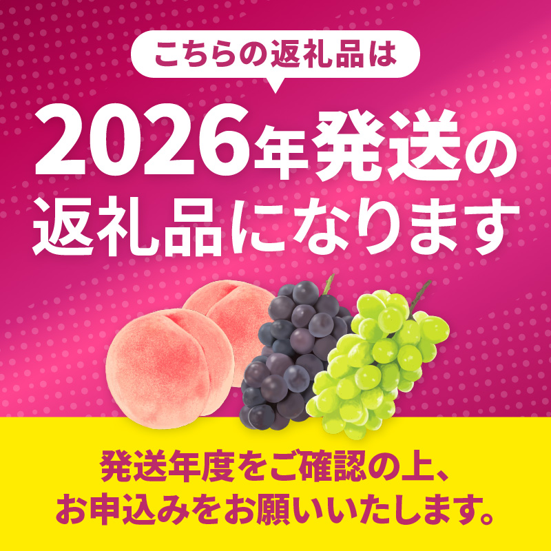 池田青果 厳選 シャインマスカット 500g以上 1房【2026年発送】（IS）A08-466
