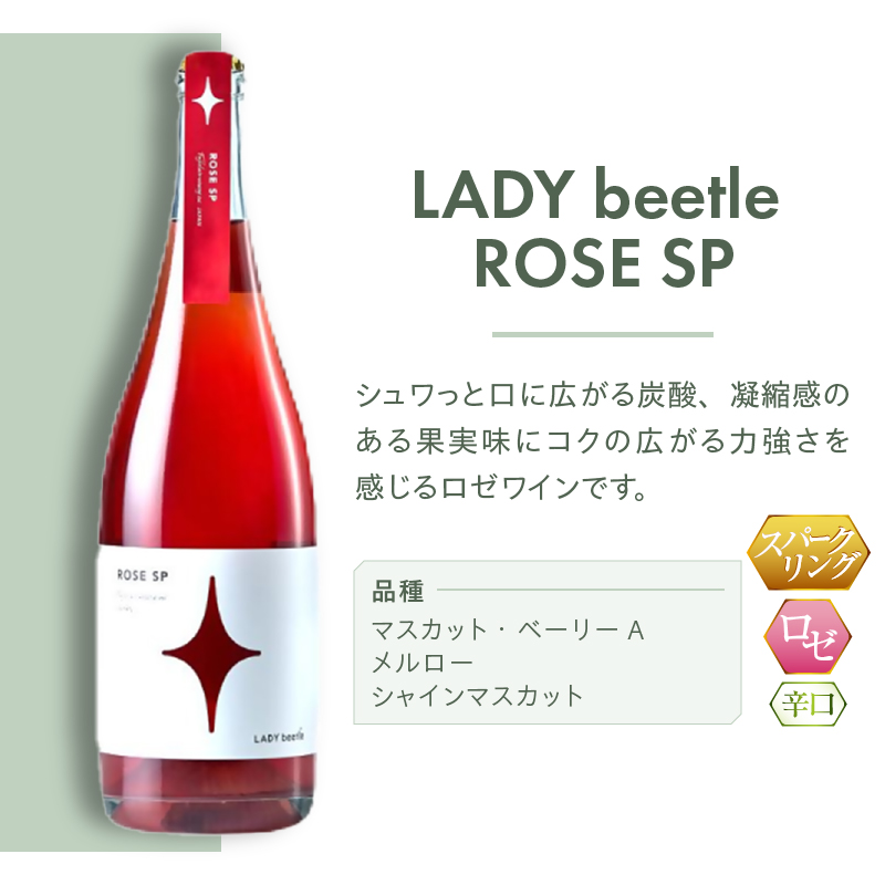 フジクレールワイナリーLADY beetle ROSE SP（RC）B11-642