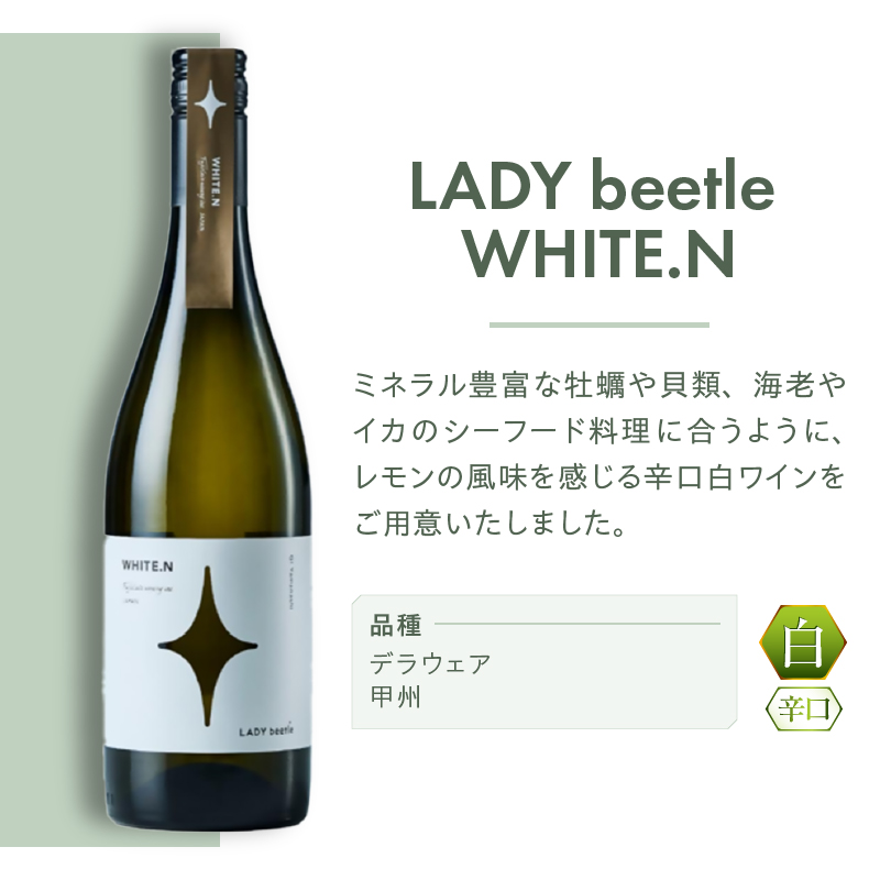 フジクレールワイナリーLADY beetle WHITE.N（RC）B-648