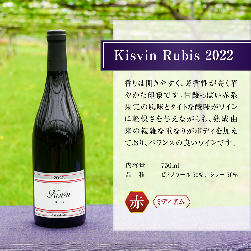 【数量限定】Kisvin Winery（キスヴィンワイナリー）ワイン6本セット（NS）G2-640
