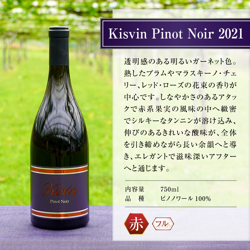 【数量限定】Kisvin Winery（キスヴィンワイナリー）赤・白・ロゼワイン5本セット（NS）M9-640