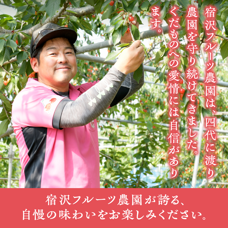 【宿沢フルーツ農園】すもも『貴陽』約1.8kg 化粧箱大玉（7～10玉）【2026年発送】（SF）B15-141