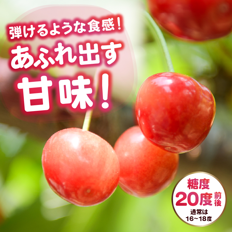 甲州市産大粒さくらんぼ 童夢の「紅秀峰」簡易手詰め（約300g 2L～3Lサイズ）【2026年発送】（DOM）B13-141