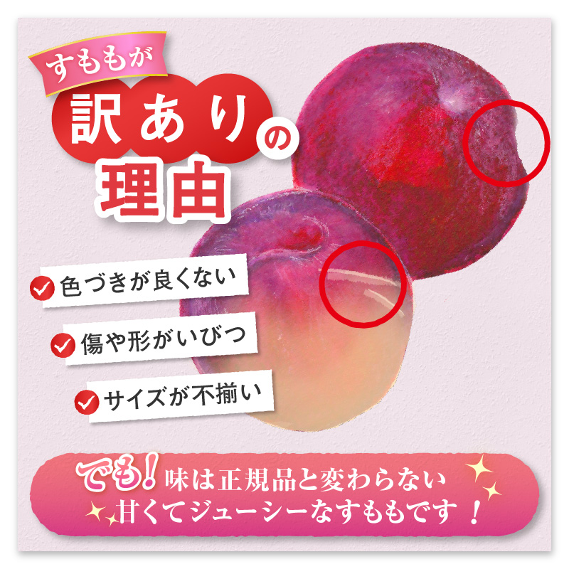 甲州市産 訳あり貴陽 約1.5kg 自然農法【2025年発送】（BNC）B15-492