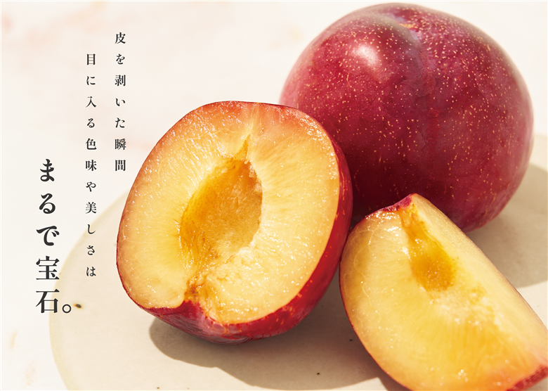 甲州市産 大玉貴陽 3個入り 約800g 自然農法【2025年発送】（BNC）B-488