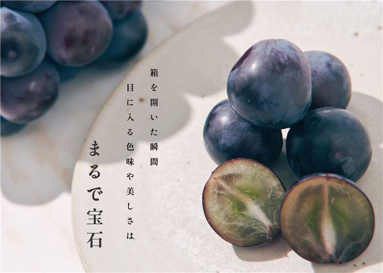 甲州市産 種無し大粒巨峰 1房入り 約500g 自然農法【2025年発送】（BNC）B12-485