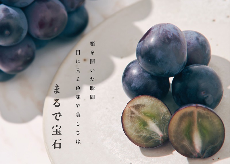 甲州市産 種無し巨峰 4～5房入（約1.8kg）自然農法【2026年発送】（BNC）B19-460