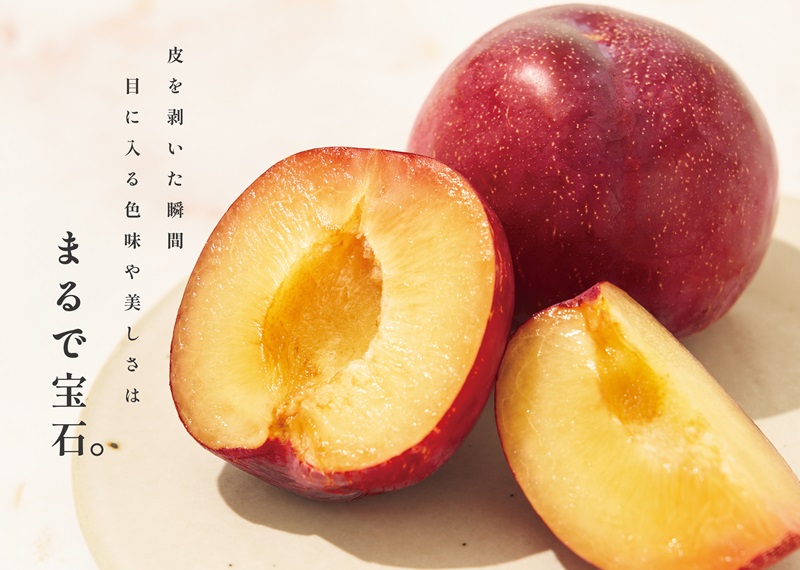 甲州市産 貴陽 約1kg（5～7個入）自然農法【2026年発送】（BNC）B15-492