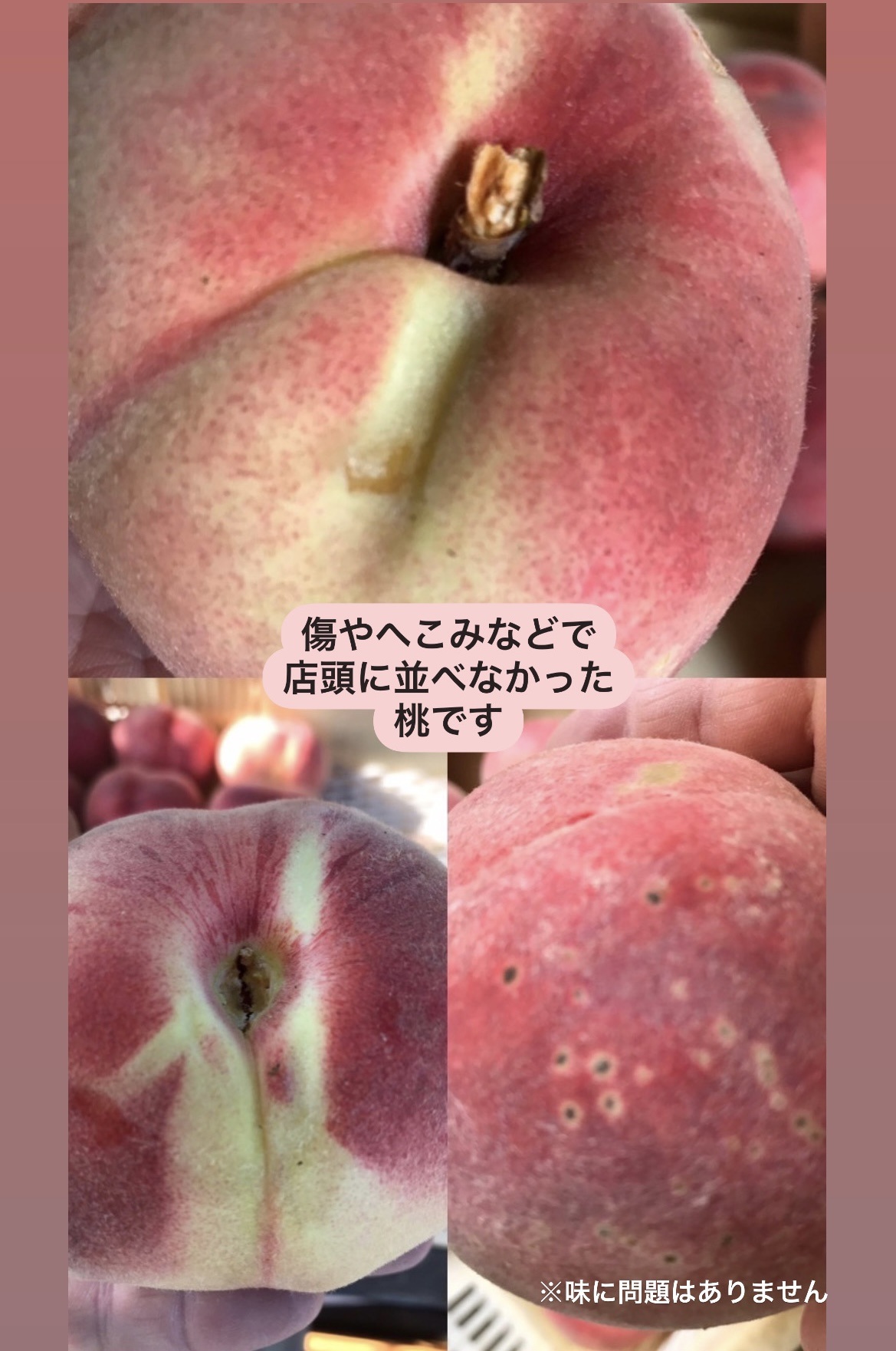 見た目が理由の訳あり桃 約2kg（5～9玉）【2026年発送】（HCF）A07-845