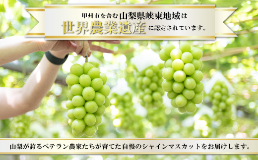 生産者直送『シャインのふるさと甲州』シャインマスカット 2房（約1kg）【2026年発送】（SFK）B11-856
