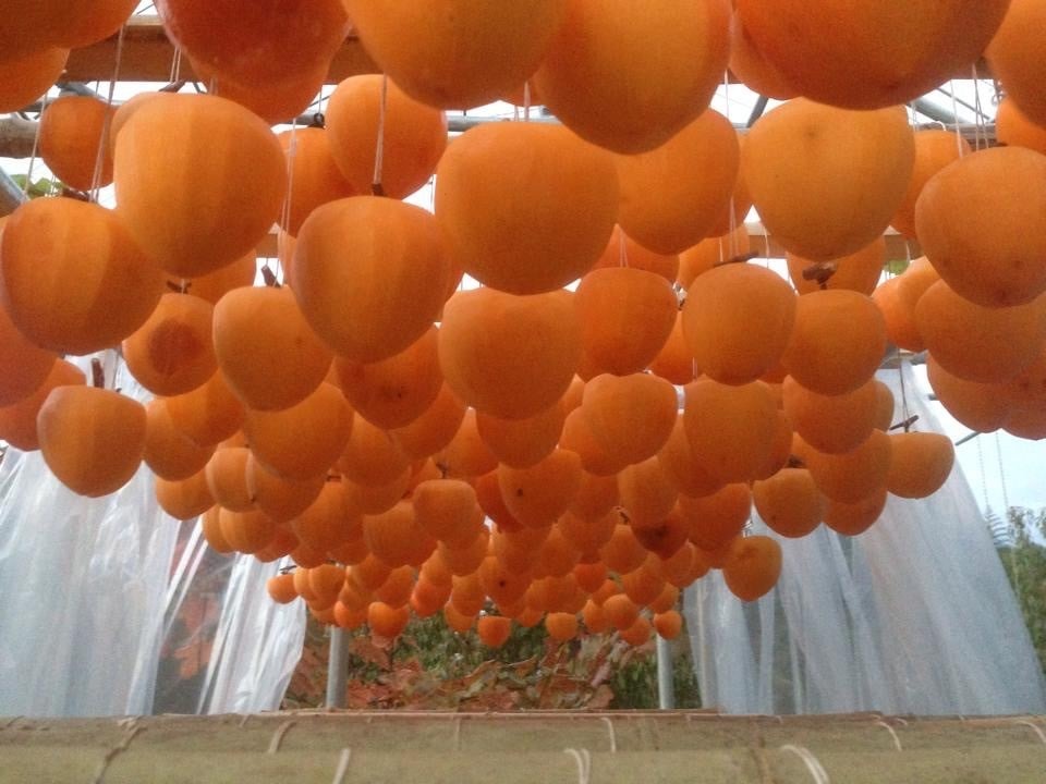 冬の味覚！甲州市産 枯露柿（干し柿）（12～16個）約1.0kg（APX）B18-196