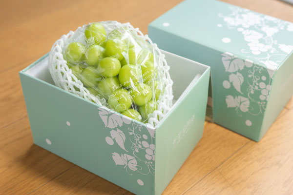 甲州市産シャインマスカット1房 大房700g以上 産地直送【2026年発送】（VYD）B-885