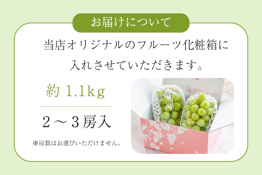 甲州市産 シャインマスカット 約1.1kg 2～3房【2026年発送】（VYD）A09-885