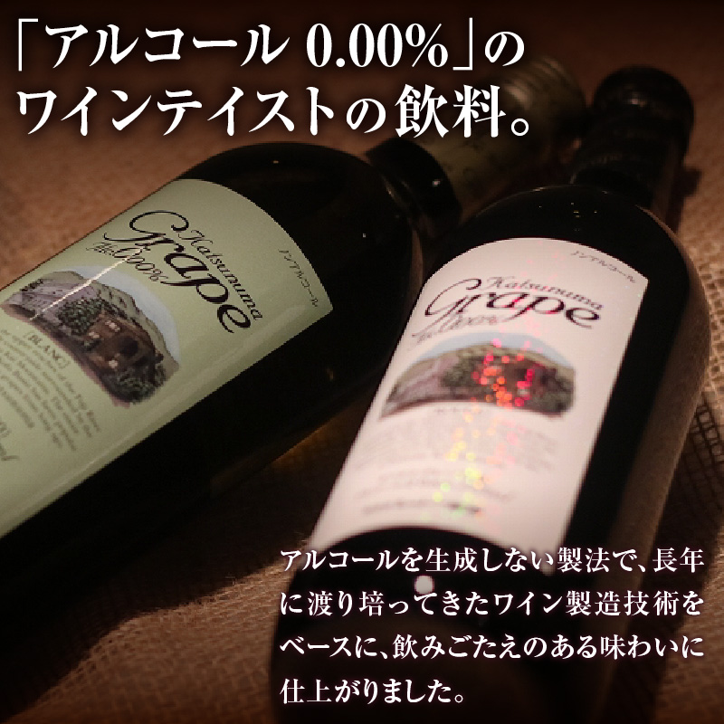 【ノンアルコールワイン】カツヌマグレープ赤2本セット B-714 （KBO）