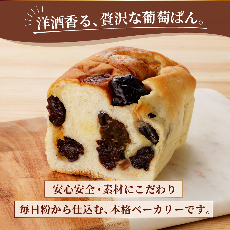 大人の葡萄ぱん（MM）A09-331