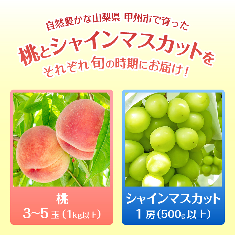 【定期便】【お試しサイズ】旬のフルーツ2回定期便（桃・シャインマスカット）【2025年発送】（HK）B16-440