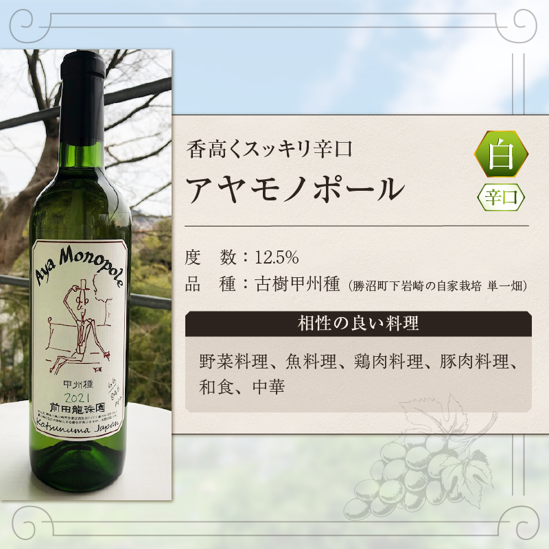 【香高くスッキリ】 自家栽培古樹甲州 アヤモノポール 白ワイン（MRF）B17-830