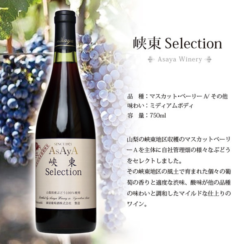 赤白ワイン2本セット（CKH）B15-770